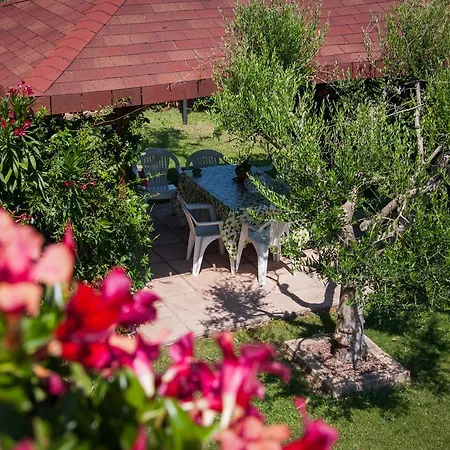 P&p Assisi Frühstückspension