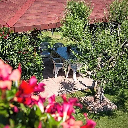 Bed and Breakfast P&p Assisi