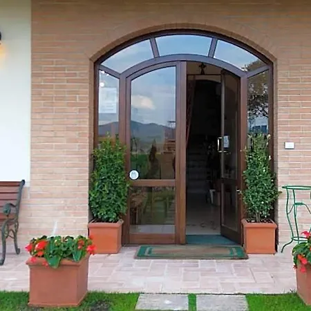 P&p Assisi